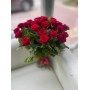 Красная  роза 33 шт 