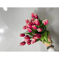 Тюльпан махровый