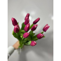 Тюльпан гладкий перпул леди