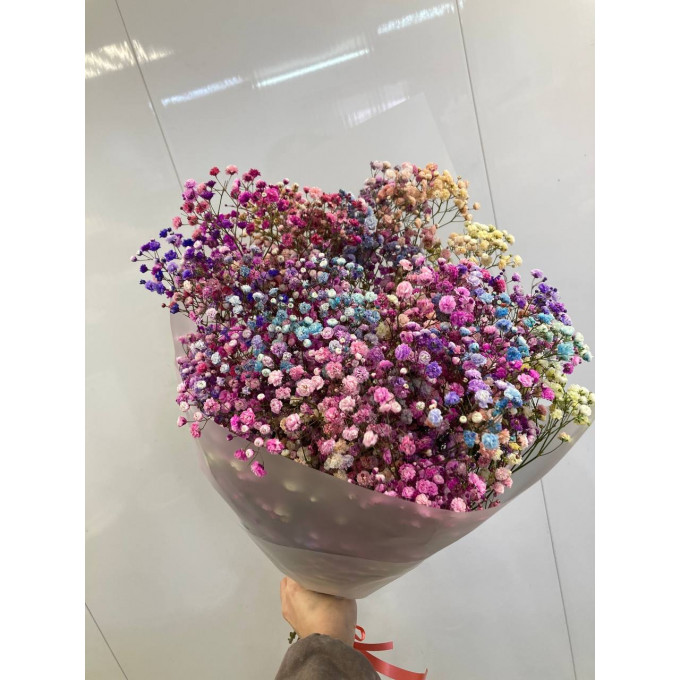 Гипсофила цветная