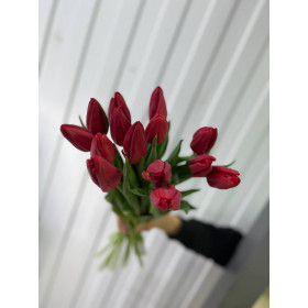 Тюльпан Стронг лав