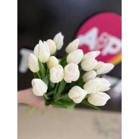 Тюльпан вайт Марвел