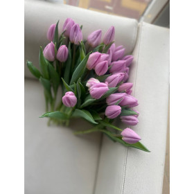 Тюльпан Кенди принц