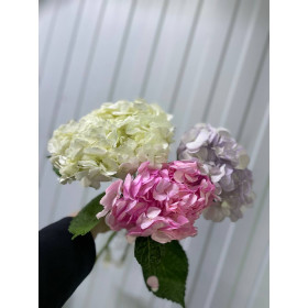 гортензия микс