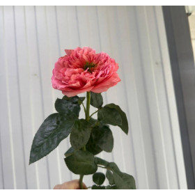 Роза Мандарин 70 см