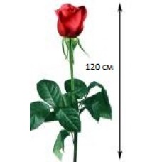 Роза 120 см. (Эквадор)