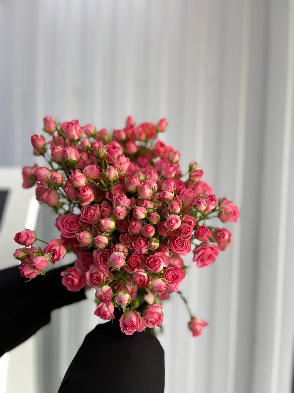 РОза спрей Пинк Хиопс