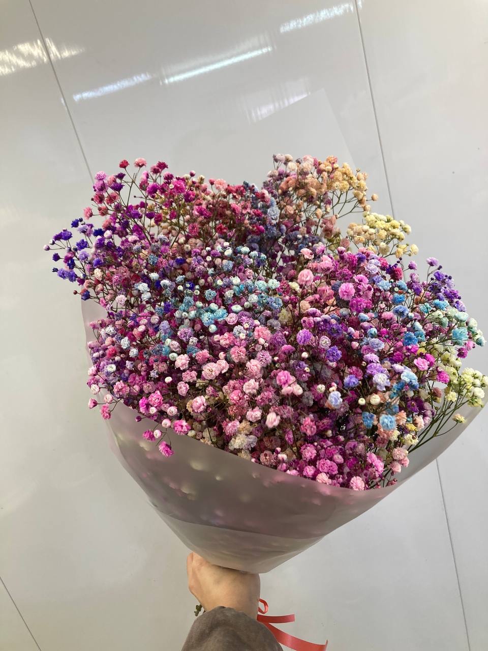 Гипсофила цветная