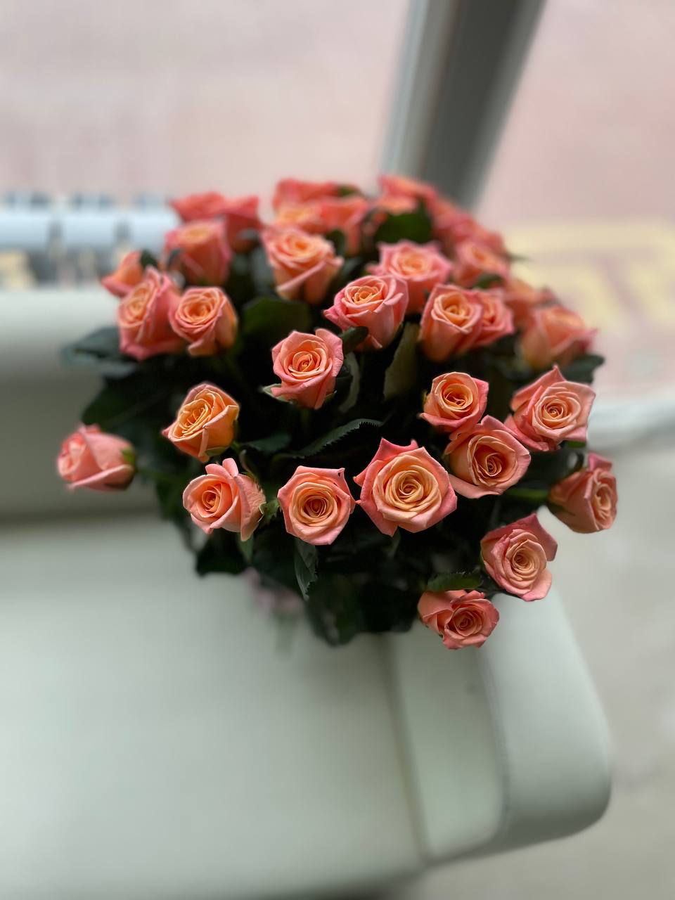 Букет роз 33 шт  Мисс Пигги