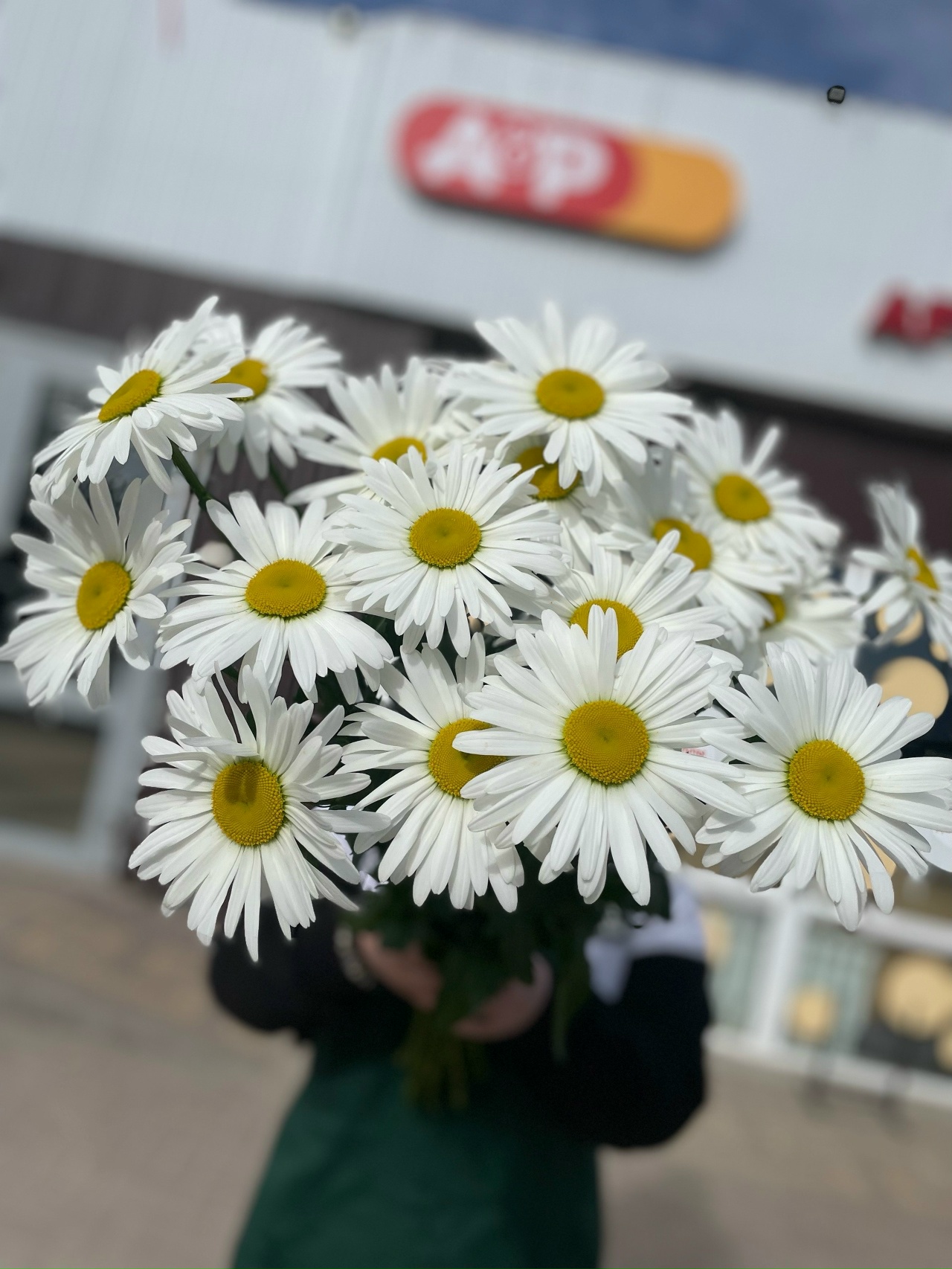 Ромашка Невяник