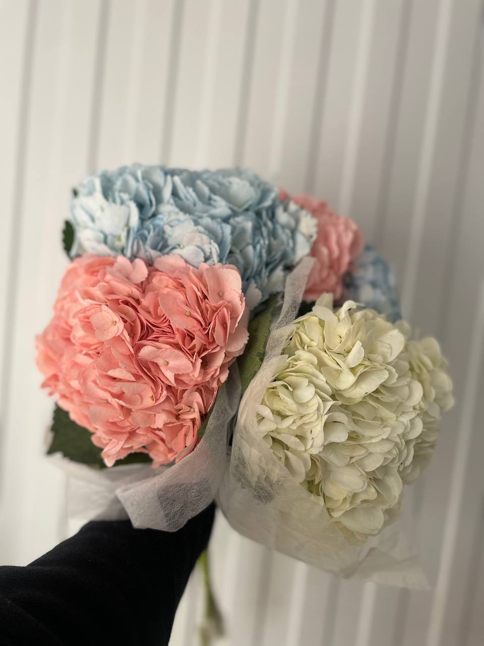 гортензия микс