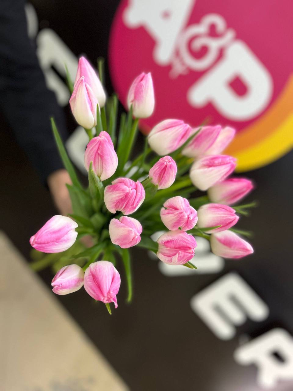 Тюльпан Фест Классик