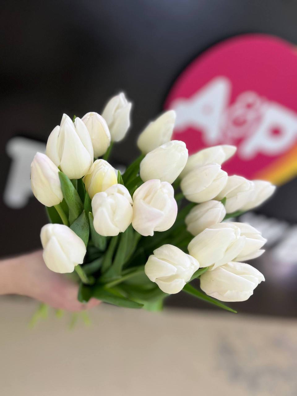 Тюльпан вайт Марвел