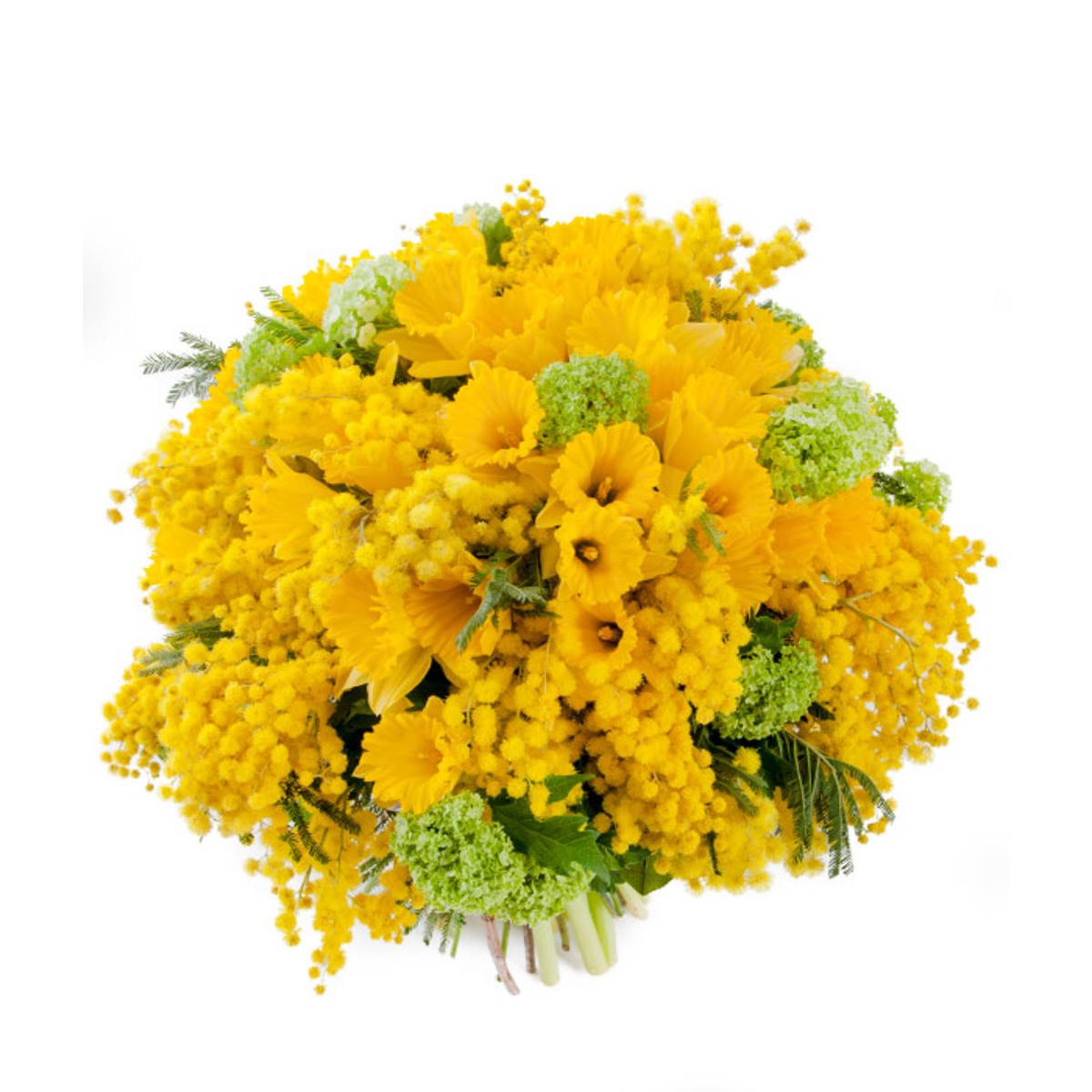 Букет к 8 марта. Мимоза, нарциссы, гортензия, букет 25 шт. Букет мимозы с нарциссами. (Испания)