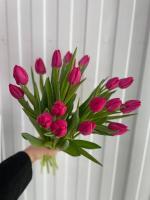 Тюльпан Пинк Ардоур