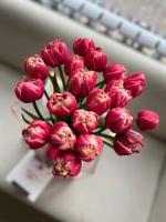 Букет Сладкий тюльпан